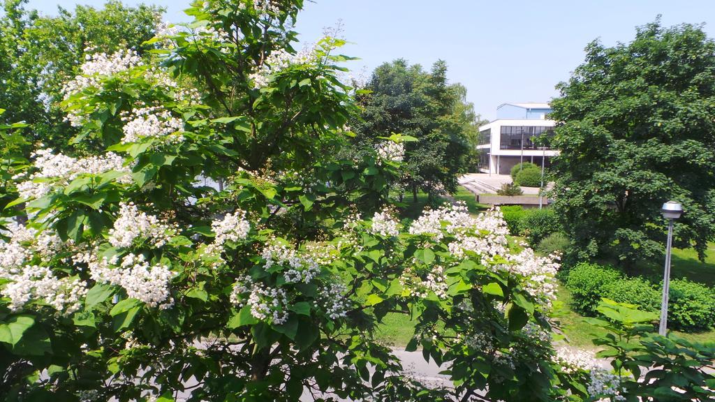 Hostel Levicki Slavonski Brod Phòng bức ảnh